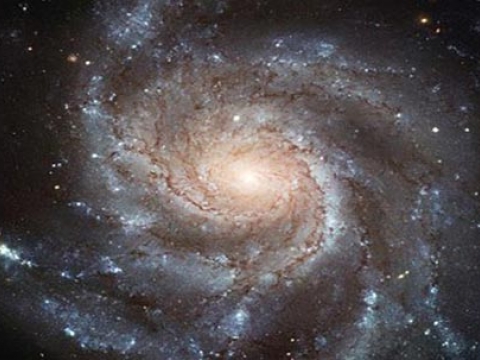 Neyin Yıl Başısı?