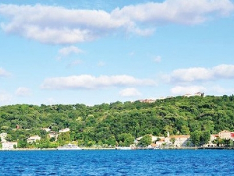 Yeşilalanların Yağmalanması koru parklarımıza kadar geldi