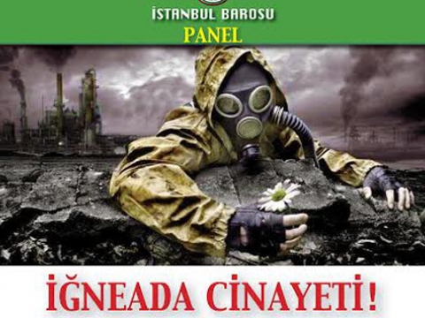 İĞNEADA NÜKLEER SANTRALİ