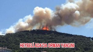 HEYBELİADA'DA 5 HEKTAR ÇAM ORMANI YANDI