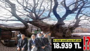 EMEKLİYİ ÖLMEDEN ÖLDÜRDÜLER