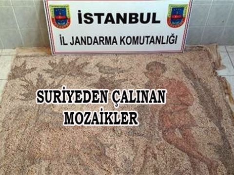 Çalıntı Roma Mozaikleri Yakalandı
