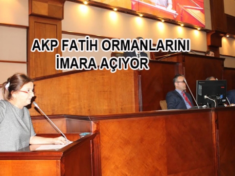 Ormanlarımız Ranta Kurban Ediliyor