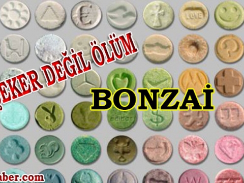 Çocuk Katili Bonzai Hiçte Uzağınızda Değil