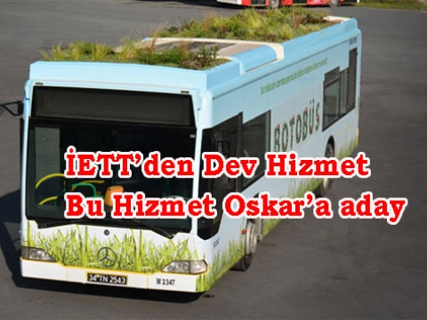 Dikkat Çok Önemli, bu Zaytung Haber Değildir.