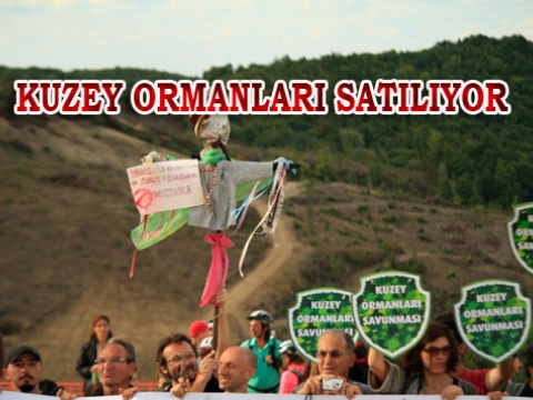 Karadeniz sahili ve Kuzey Ormanları satılıyor