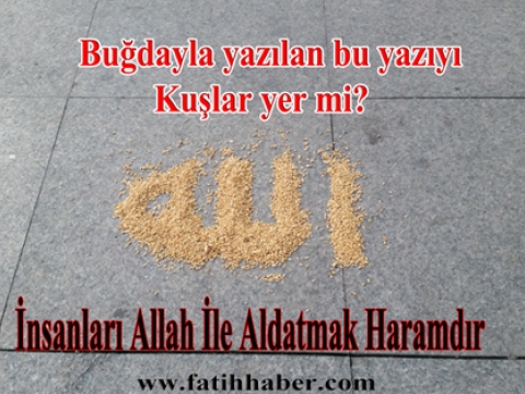 Kuşlar Allah Kelamını tanır mı?