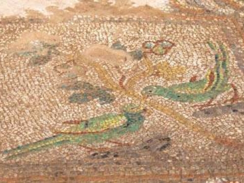 Bakan Ertuğrul Günay'ı götüren SİT alanı