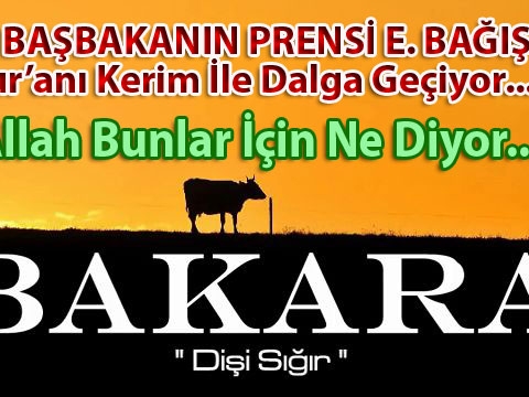 AKP Bu fitneyi Nasıl Temizleyecek...?