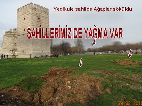 Yedikule sahilde Park katledildi