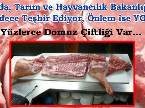 Türkiye'de Domuz ÜRETİM/TÜKETİM Gerçeği