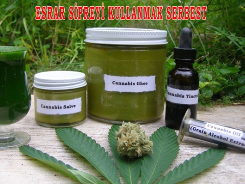 Esrar Tiryakilerine Gün Doğdu