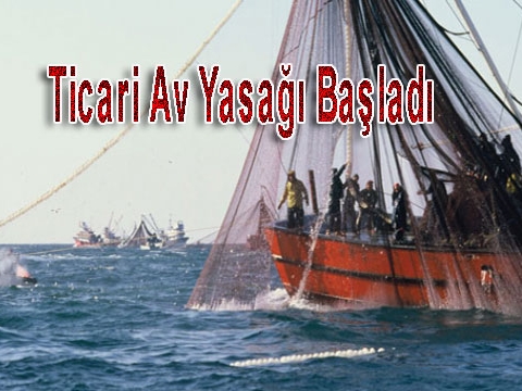 Balık avlama mevsimi sona erdi