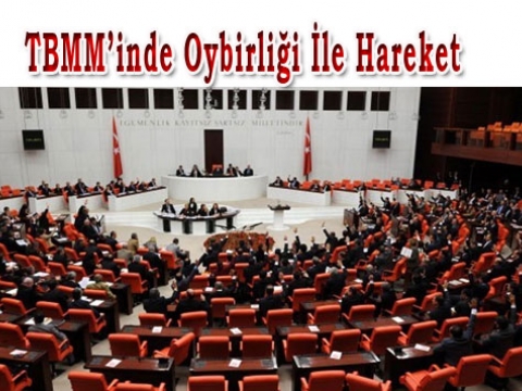 TBMM hemfikir oldukları konu