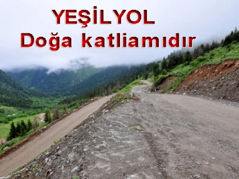 Yeşil Yol Projesi için yürütmeyi durdurma kararı