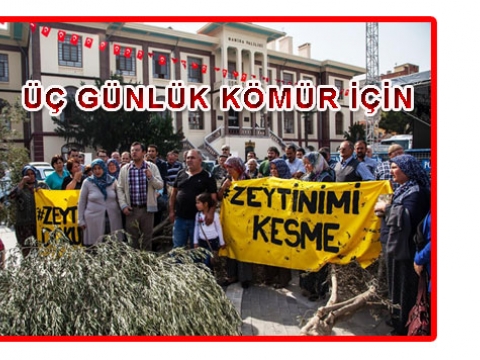 Doğayı katletmeye devam ediyoruz!