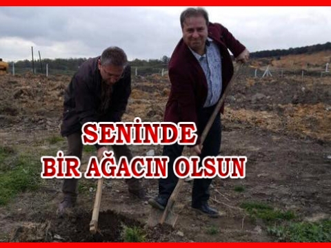 PERTEVNİYAL LİSESİ MEZUNLARI HATIRA ORMANI