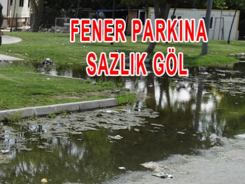 Fatih'te Belediye Hizmetlerinden örnekler - 1