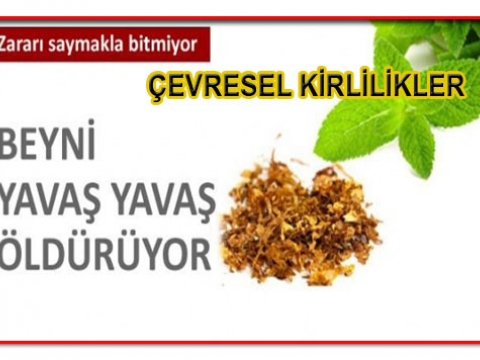  Beslenme şekli ile gelen tehlikeler