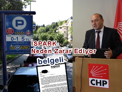  İSPARK Neden Zarar Eder?