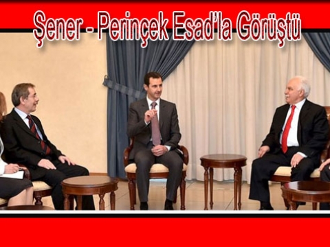 Perinçek Şener heyeti Esadla ne görüştü