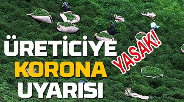 Çay Üreticisine Korona Açıklaması