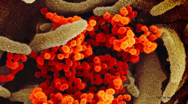 Dünyada COVID-19 canlı takip et