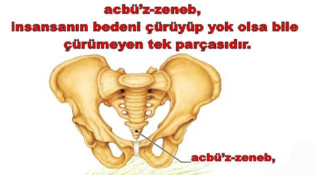 Hanüz çözemediğimiz İslami gerçekler