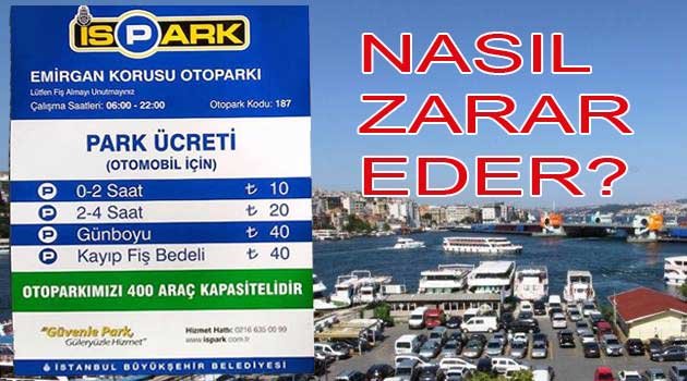 İspark nasıl Zarar Eder?