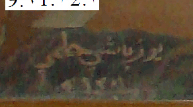 KABE TABLOSUNU ÇALAN DEŞİFRE EDİLDİ