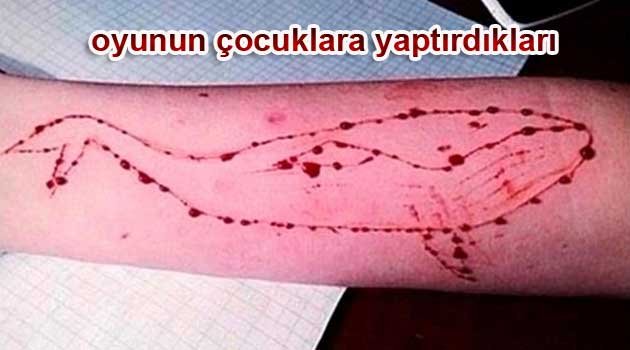 Mavi balina Soru Önergesi Oldu