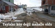 Karadeniz yaylalarında Yıkım Fırtınası