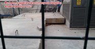 Tarihi ve Sağlığı bu kadar koruyoruz