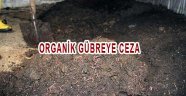 Dünya organik gübre kullanımını teşvik ederken 